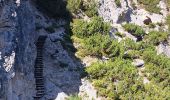 Trail Walking Prags - Braies - DOLOMITES 05 - Rifugio Dreizinnenhütte - Photo 11