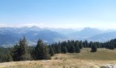 Trail Walking Viuz-la-Chiésaz - Semnoz, mon tour des lacs et des crêts  - Photo 11