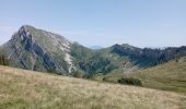 Trail Walking Saint-Pierre-de-Chartreuse - grand sure - Photo 20