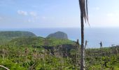 Trail Walking Pamandzi - GR1 PAMANDZI - PETITE TERRE / MAYOTTE - Photo 5