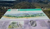 Trail Walking Vieux-Thann - Rando Marcheurs..27/03/2025.. - Photo 12