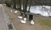 Tocht Stappen Tervuren - 2020-03-15 - Tervuren - Étangs de Vossem - Photo 17