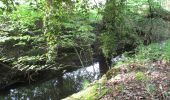 Tour Zu Fuß Dinslaken - Schwarzbach Rundweg A1 - Photo 9