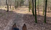 Trail Horseback riding Badonviller - Tour du lac de pierre percée  - Photo 4