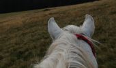 Trail Horseback riding Plainfaing - Acpl plainfaing le groube  - Photo 10