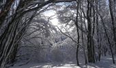 Randonnée Raquettes à neige Léoncel - Le Grand Echaillon - Les Crêtes de la Sausse - Photo 19