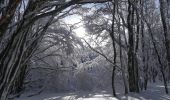 Percorso Racchette da neve Léoncel - Le Grand Echaillon - Les Crêtes de la Sausse - Photo 19