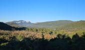 Excursión Senderismo La Farlède - Petit Coudon en partant de La Farlède - Photo 1