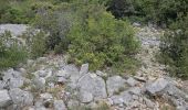 Trail Walking Solliès-Toucas - Promenade à Siou Blanc - Photo 11