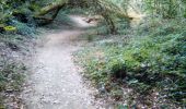 Trail Walking Caurel - Guerledan - Photo 1