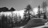 Trail Snowshoes Uvernet-Fours - Pra Loup - Entre Clappe et Coste Belle - Photo 7
