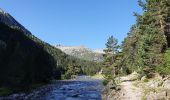 Randonnée Marche Cauterets - Pont d'Espagne  - Circuits des lacs - Photo 10