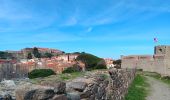 Trail Walking Argelès-sur-Mer - racou - collioure - racou / en boucle - Photo 16