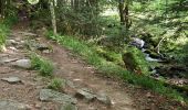 Trail Walking Metzeral - lac de schiessrothried par vallée de la wormsa  - Photo 15