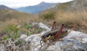 Trail On foot Tende - Circuit des Forts - Photo 3