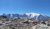 Randonnée Marche Chamonix-Mont-Blanc - Les Lacs Noirs 10.7.22 - Photo 8