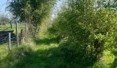 Randonnée Marche Theux - neufmarteau . trou colas . royonpré . neufmarteau  - Photo 15