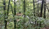 Trail Walking Trédion - PR_56_Tredion_AA_01_La-Villeneuve_Circuit1b_20240519 - Photo 1