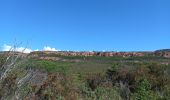 Excursión Senderismo Le Muy - Le Rouet Vignes - Photo 1