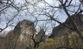 Trail Walking Lauroux - Cirque de Labeil - Lauroux-Labeil - Photo 20