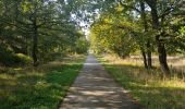 Randonnée Marche Durbuy - Petit-han à travers bois - Photo 1