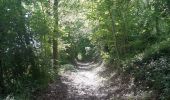 Trail Walking Anthisnes - Hody . drive d Anthisnes . carrière . Targnon . Hestreux . Fond de Sart . Hody - Photo 4