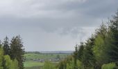 Tocht Stappen Bouillon - rando rochehaut 11 /05/2021 - Photo 4