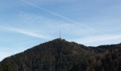 Tocht Te voet Gemeinde Schottwien - Gipfelrunde - Photo 6