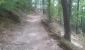 Trail Walking Jalhay - adeps sart 20 km bug - Photo 8