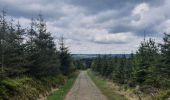 Tocht Stappen Stoumont - rando la gleize 20/05/2021 - Photo 1