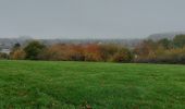 Trail Walking Mettet - Mettet 141122 - Photo 9