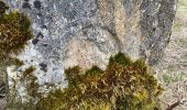 Tour Zu Fuß Val-de-Travers - Ferme du Soliat - La Banderette - Photo 5