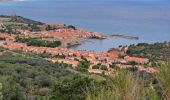 Trail Walking Collioure - boucle autour de collioure  - Photo 2