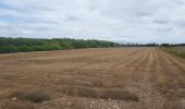 Trail Walking Mesnil-en-Ouche - 20220610-Beaumesnil - Photo 6