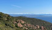 Tour Wandern Saint-Raphaël - Cap Roux et grues depuis Belle-Barbe - Photo 13