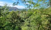 Randonnée Marche Balerna - Circuit au sein du parco Delle Gole Della Breggia - Photo 12