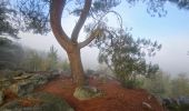 Tour Wandern Noisy-sur-École - Boucle 24 km Fontainebleau Arbonne - Photo 17