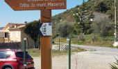 Percorso Marcia Castelnuovo - Mt Maccaron - Photo 2