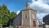 Randonnée Marche Plombières - les trois bornes ...voir info - Photo 10