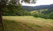 Excursión Senderismo La Chaise-Dieu - Les Bouillas, les Brayes  - Photo 4