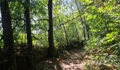 Trail Walking Arthès - Arthès Saint-Juéry Les Avalats en boucle - Photo 8