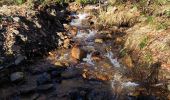 Randonnée Marche Stoumont - Promenade au départ de Moulin du Ruy  - Photo 9