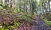 Excursión Senderismo Septmoncel les Molunes - mo sentier des lapidaires - Photo 16