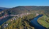 Tocht Te voet Schönbrunn - Rundwanderweg Hirschhorn 2: Neckar-Weg - Photo 6