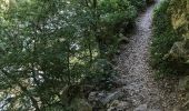 Excursión A pie Sales de Llierca - L'Alta Garrotxa de Vayreda - Photo 7