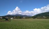 Tour Wandern Sentheim - Marcher au marché 2  - Photo 13