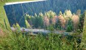 Trail Walking Pontpierre - expo nature Faulquemont  - Photo 2