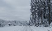 Tocht Stappen Malmedy - Tro Maret-les Six Hetres-Bernister - Photo 5