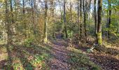 Randonnée Marche Vendôme - Forêt de Vendôme - Bois de l'Oratoire - Photo 9
