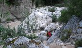 Percorso A piedi Dorgali - Sa Portiscra-Cala Luna - Photo 2